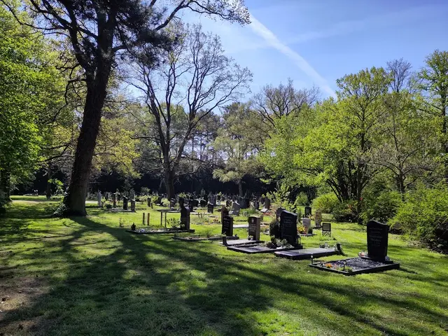 Muslimisches Gräberfeld auf dem Stadtfriedhof Stöcken | Foto: eigenes Bild