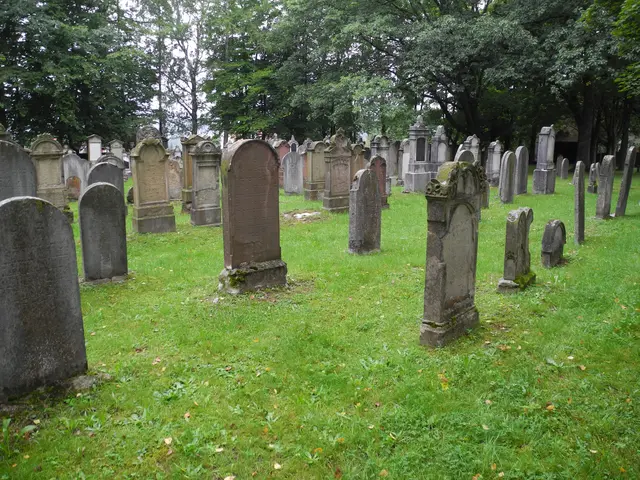 Foto: Ulrike Lindenbaum