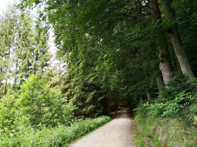 Foto: Beatrix Treischl