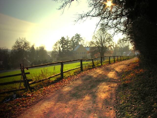 Ein Weg zum Schloss Hammel.