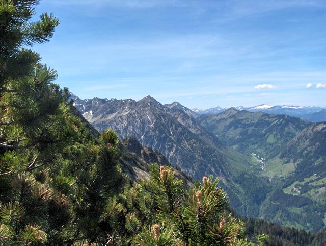 Blick vom Iseler
