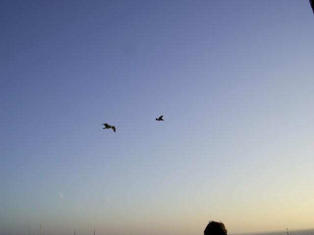 Nordsee -  Wangerooge