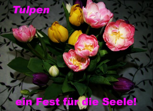 Tulpenstrauß