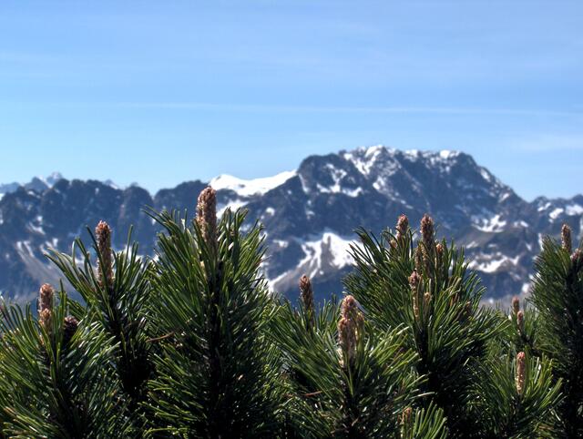 Der Berg ruft