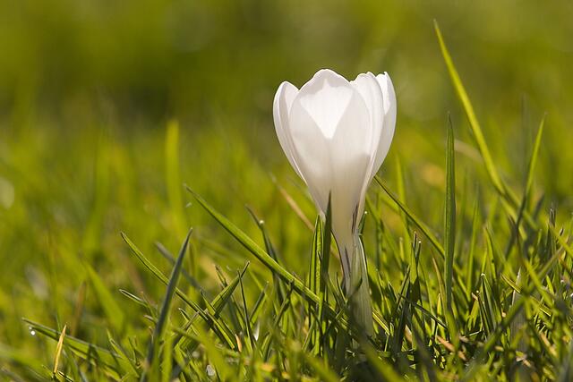 Frohe Ostern