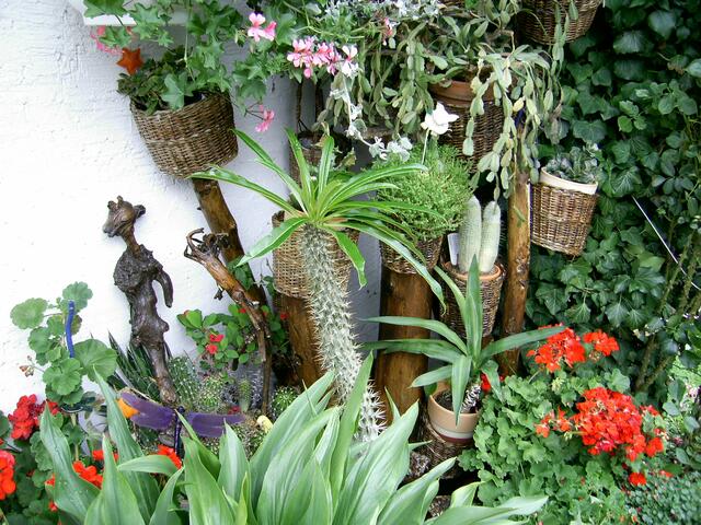 Garten-Impression