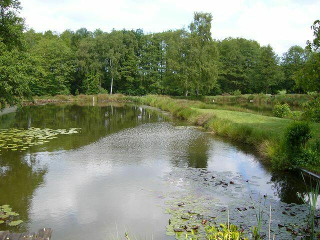 Enspannug