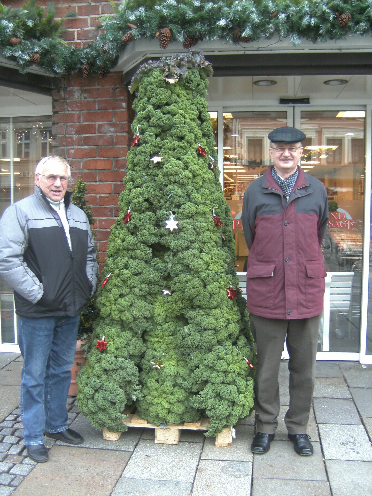Ein seltener Weihnachtsbaum aus Grünkohl gesehen in Lüneburg