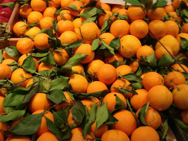 Ich habe Euch Orangen aus Mallorca mitgebracht