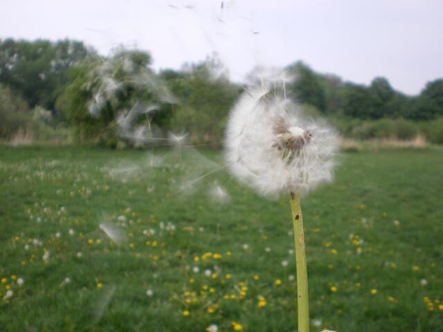 Frühling . . . !