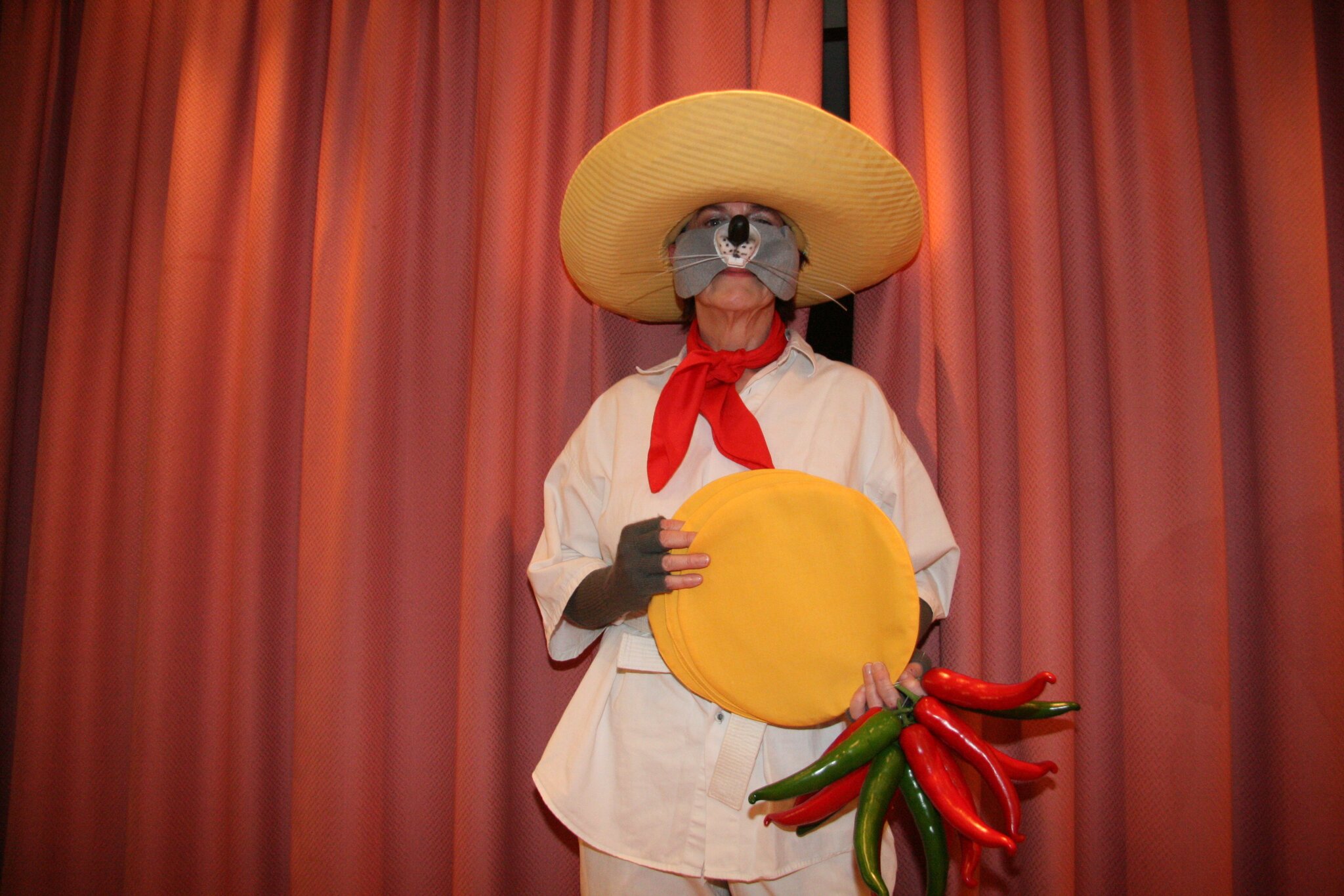 speedy gonzales schnellste maus von mexiko