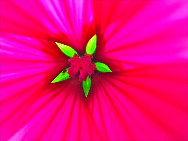 Der Blick ist echt - keine Nachbearbeitung mit Neonfarben etc.