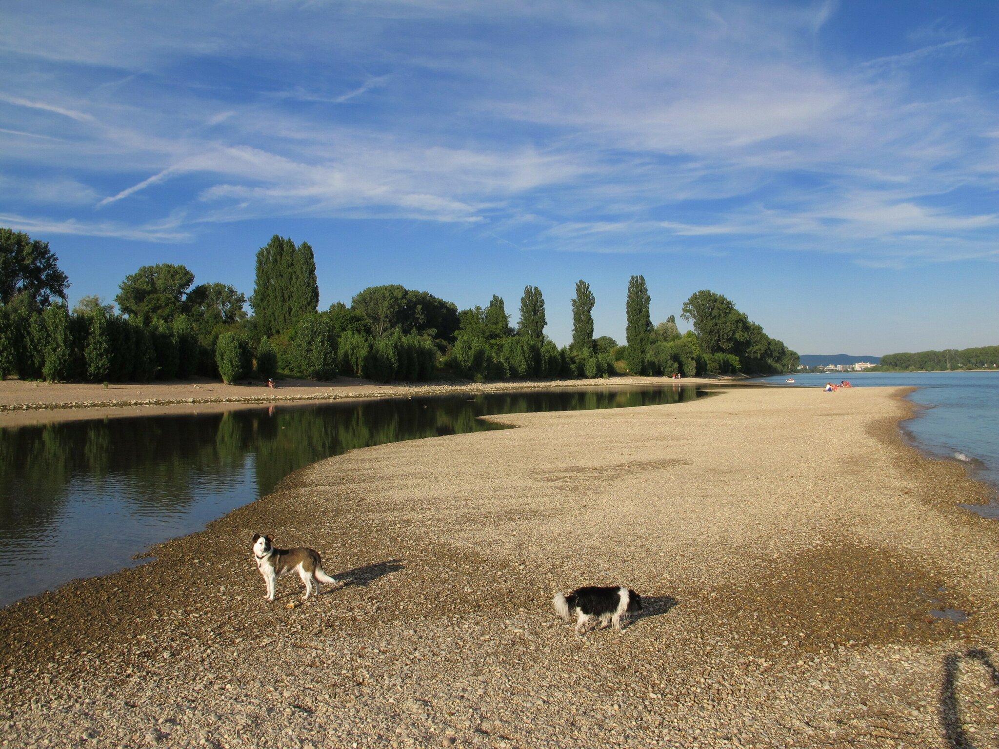 Sandbank im Rhein