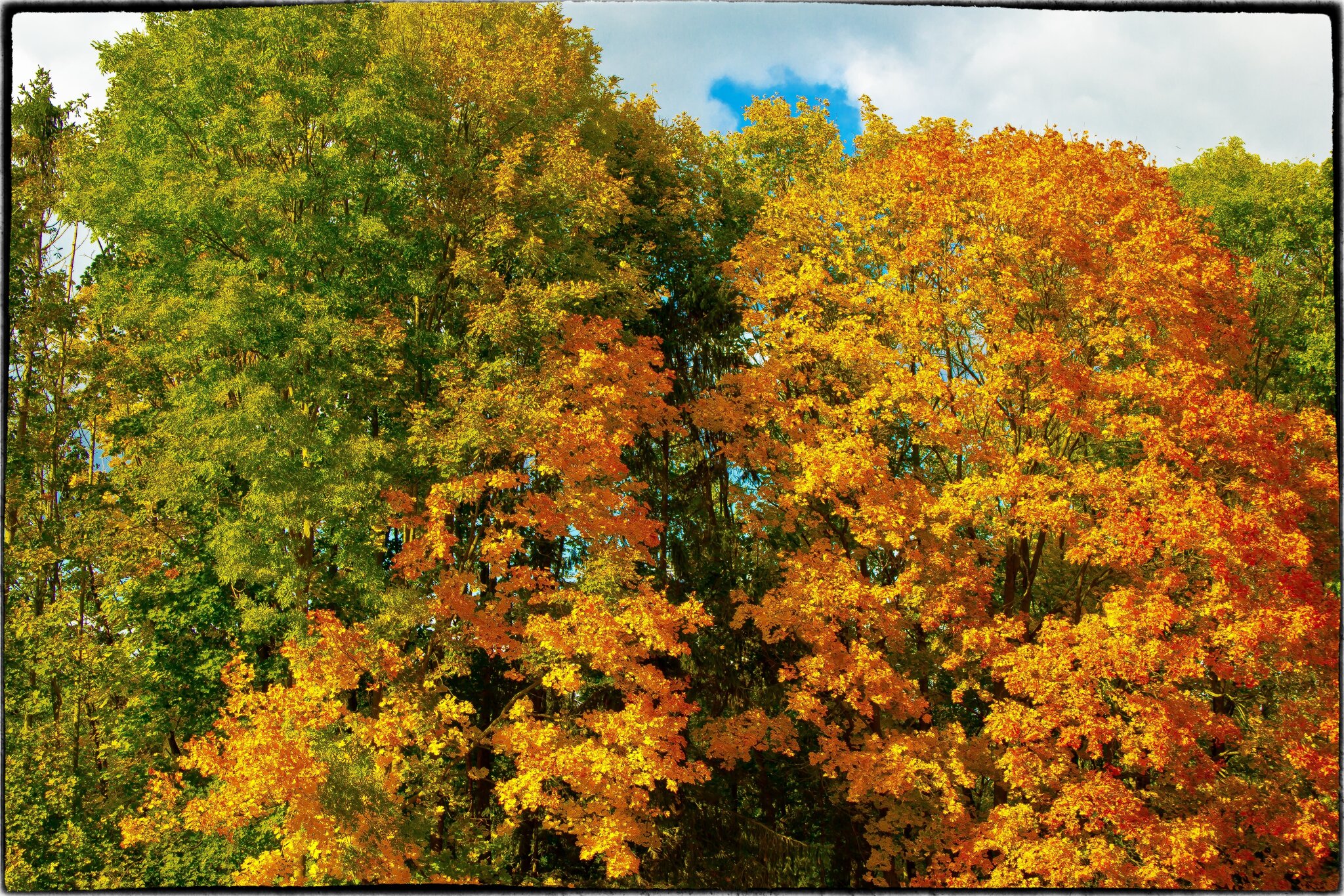 " Och ne der Herbst schon wieder... ich mag kein FKK