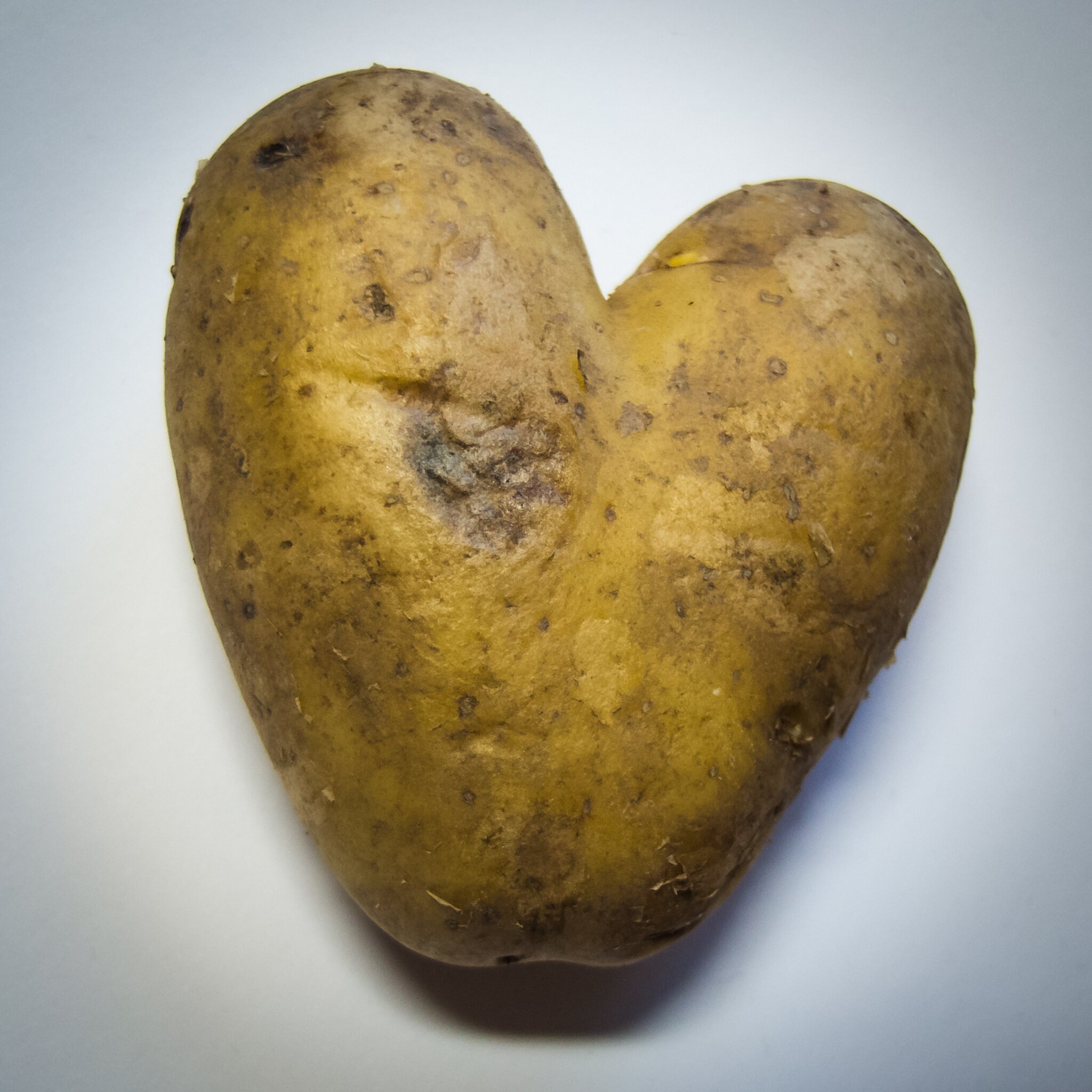 Kartoffeln, die als Herzen wachsen, die gibt es nur in Niedersachsen!