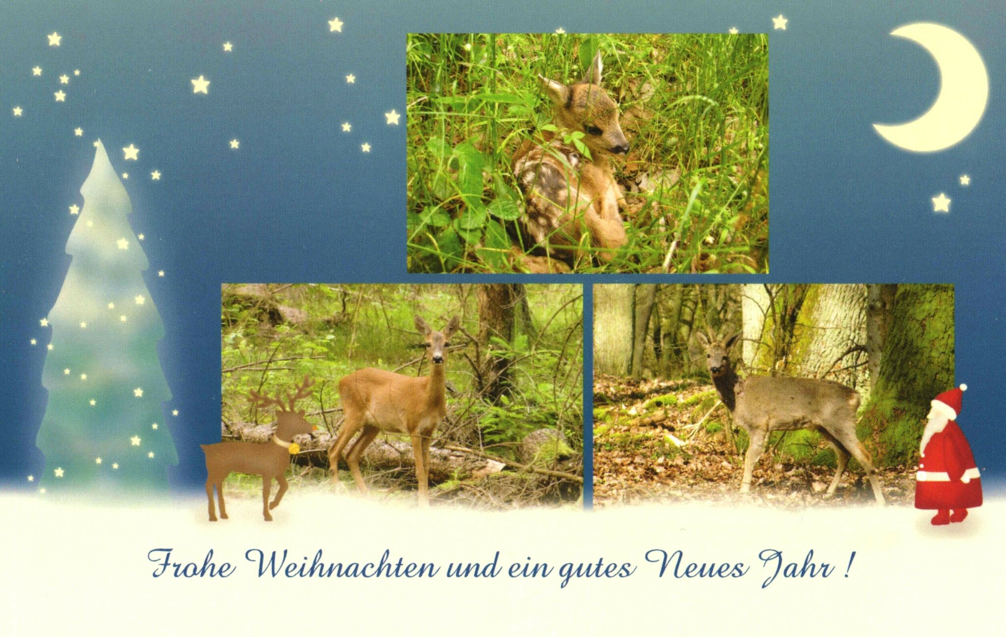 Ich wünsche Euch allen ein besinnliches, gesundes,erfreuliches und