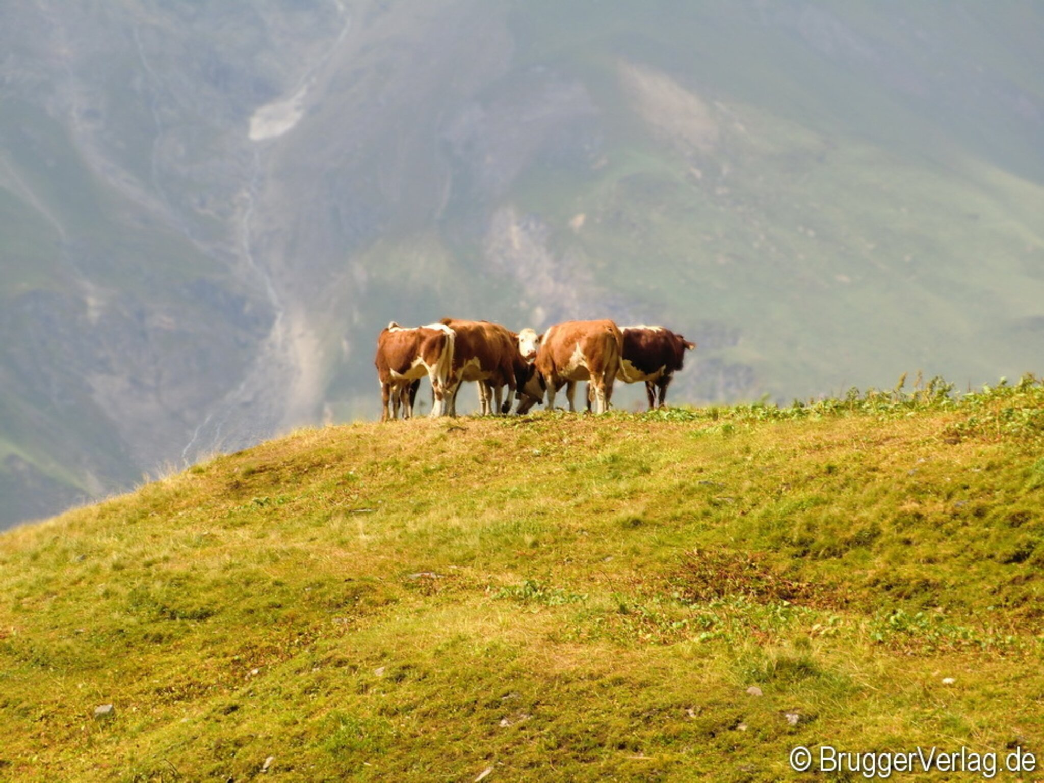 hoch-auf-dem-berg-aussicht-garantiert-gro-glockner-hochalpenstra-e