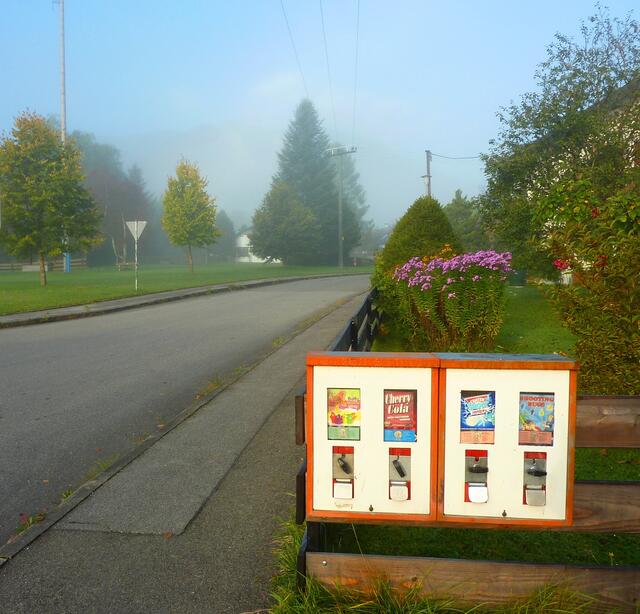 Eigentlich sind es zwei Zweier, die ich morgens in Grafenaschau entdeckt hatte.