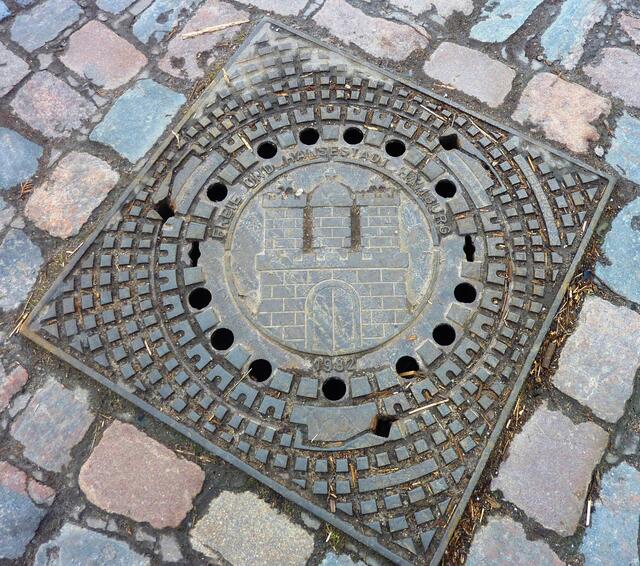 Ich habe ihn am Elbwanderweg in Hamburg-Blankenese gesehen.