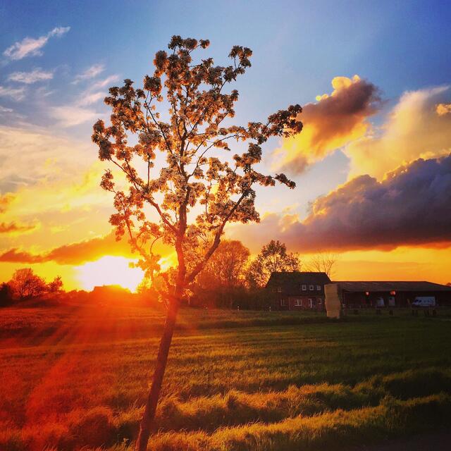 Einer von vielen Sonnenuntergängen in Garbsen.