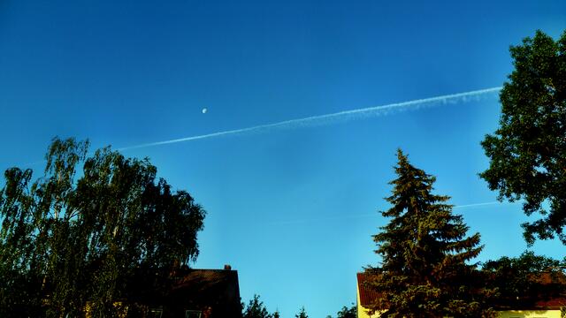 Guten Morgen - Halbmond / 7.7.2015 !
