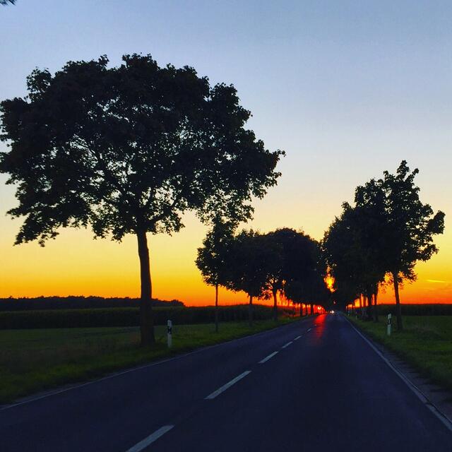 Sonnenuntergang zwischen Frielingen und Bordenau