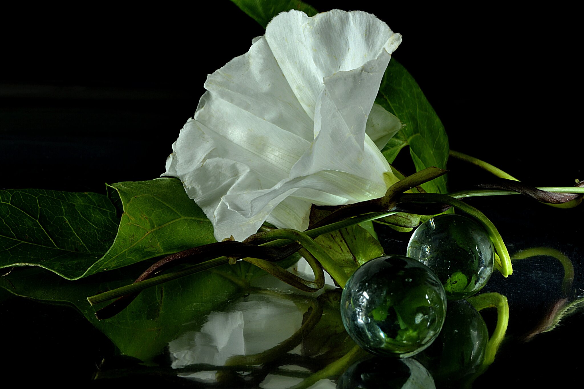 Schönheit sieht man immer nur dort, wo mehr ist als der bloße Schein. Sie ist das, was einen