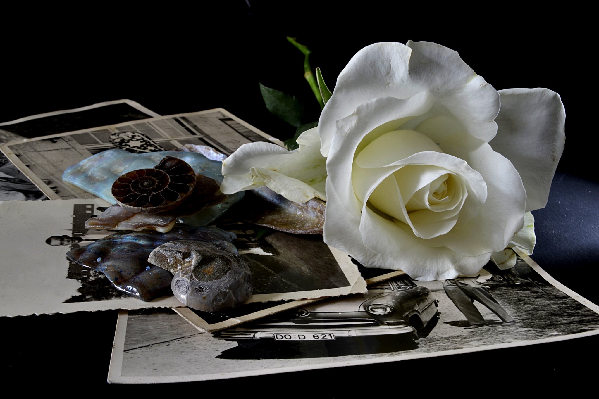 Fotos kann man löschen, Erinnerungen nicht (Autor unbekannt)