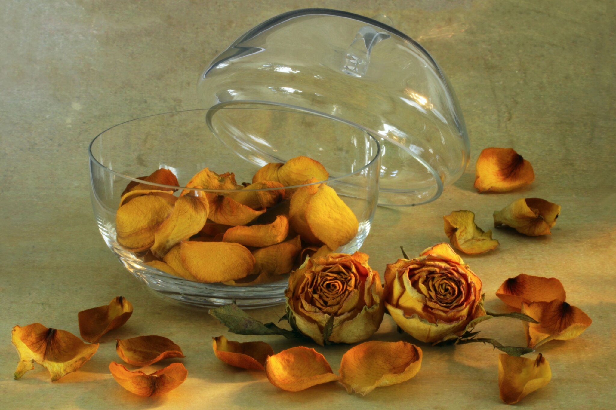 "Wei?t du, was das Wichtigste ist? Dann lies das zweite Wort noch ...