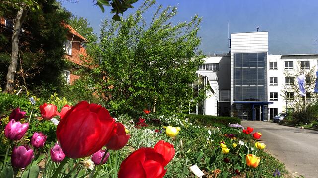 In Malchow auf der Insel Poel unterhält die Hochschule Wismar einen über 6.500 Quadratmeter großen Schau- und Lehrgarten, in dem neben Energie-, Heil- und Gewürz- auch viele Blütenpflanzen gezeigt werden. Für Besucher ist es besonders interessant, dass alle Pflanzen durch ihre Namen (deutsch/lateinisch) gekennzeichnet sind. Foto (Mai 2018): Helmut Kuzina