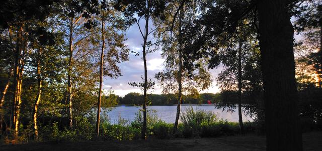 Goldenes Licht sorgt am Silbersee für eine märchenhafte Stimmung.