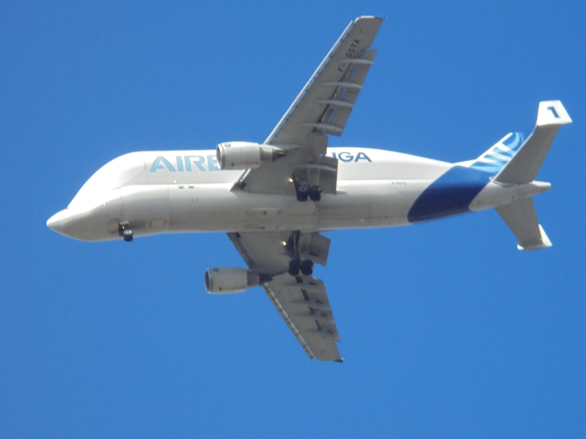 Transportflugzeug Beluga von Airbus, auf dem Weg zum Airbus Gelände ...