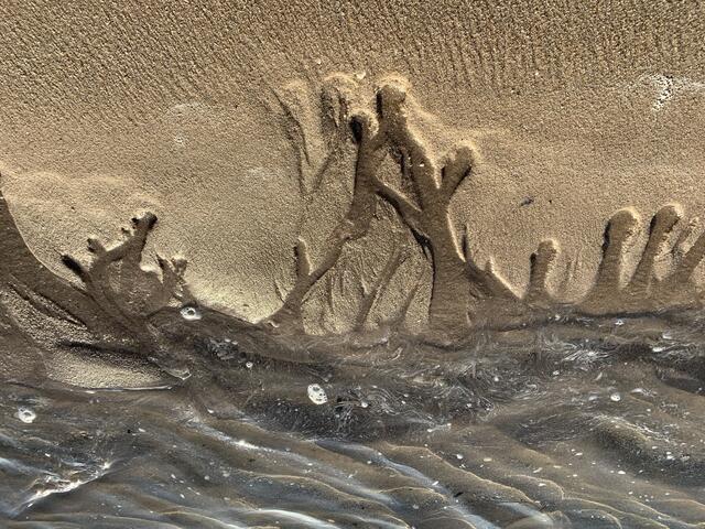 Sandstrukturen