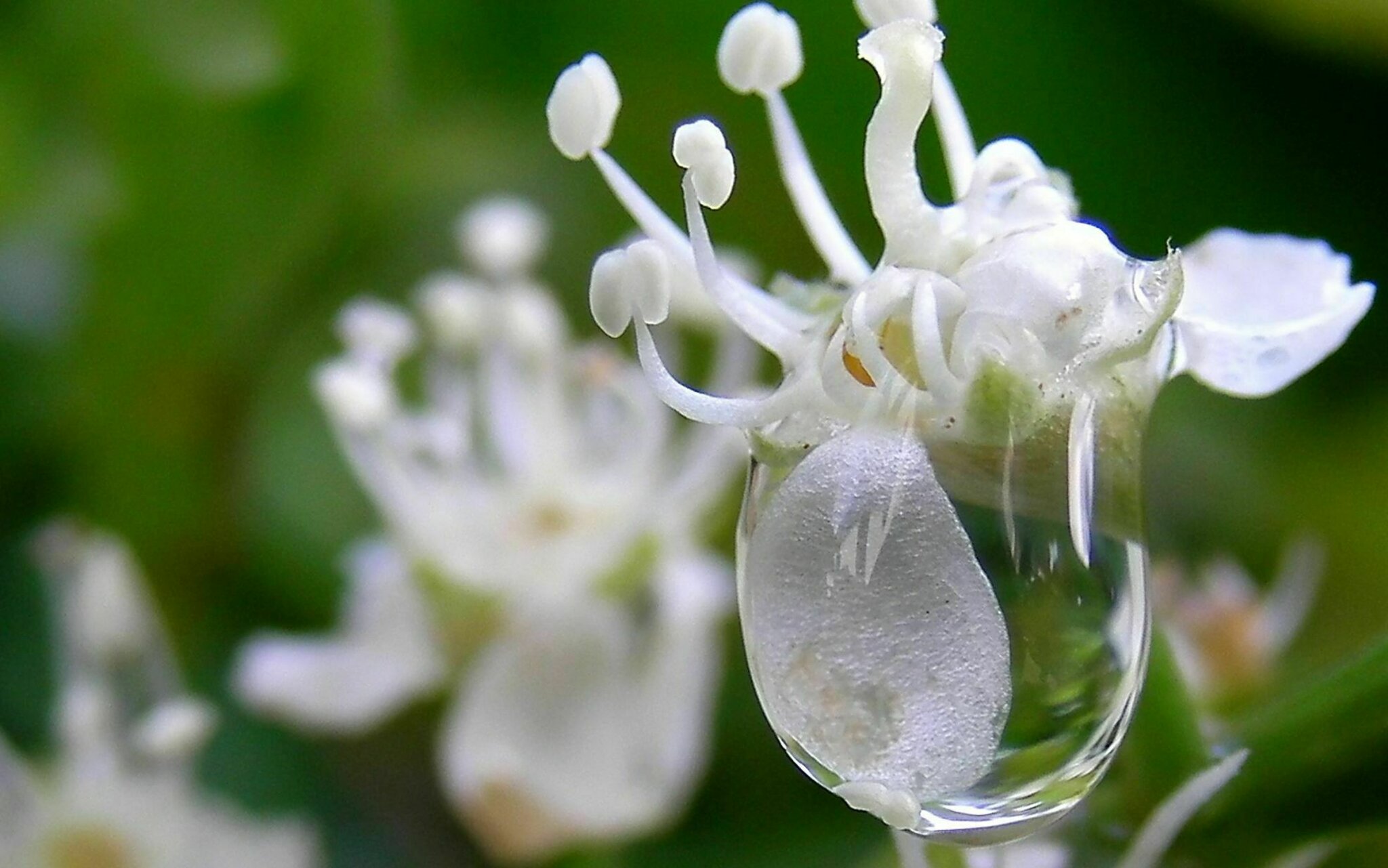 Nicht nur unsere Sportler sind in der "Bubble"
