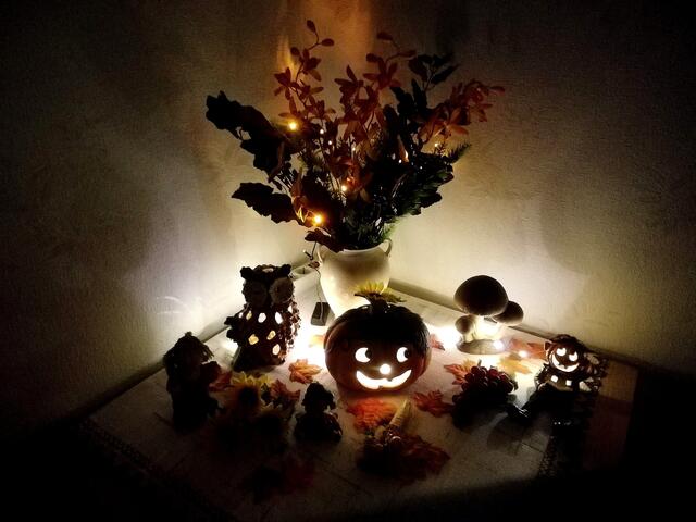 Es wird HERBST in unserem Wohnzimmer !   https://www.rnd.de/wissen/herbstanfang-2021-warum-es-zwei-verschiedene-daten-gibt-und-was-die-tagundnachtgleiche-damit-zu-tun-R3RAKAHLXVBXXH5UETH3J2C3MQ.html