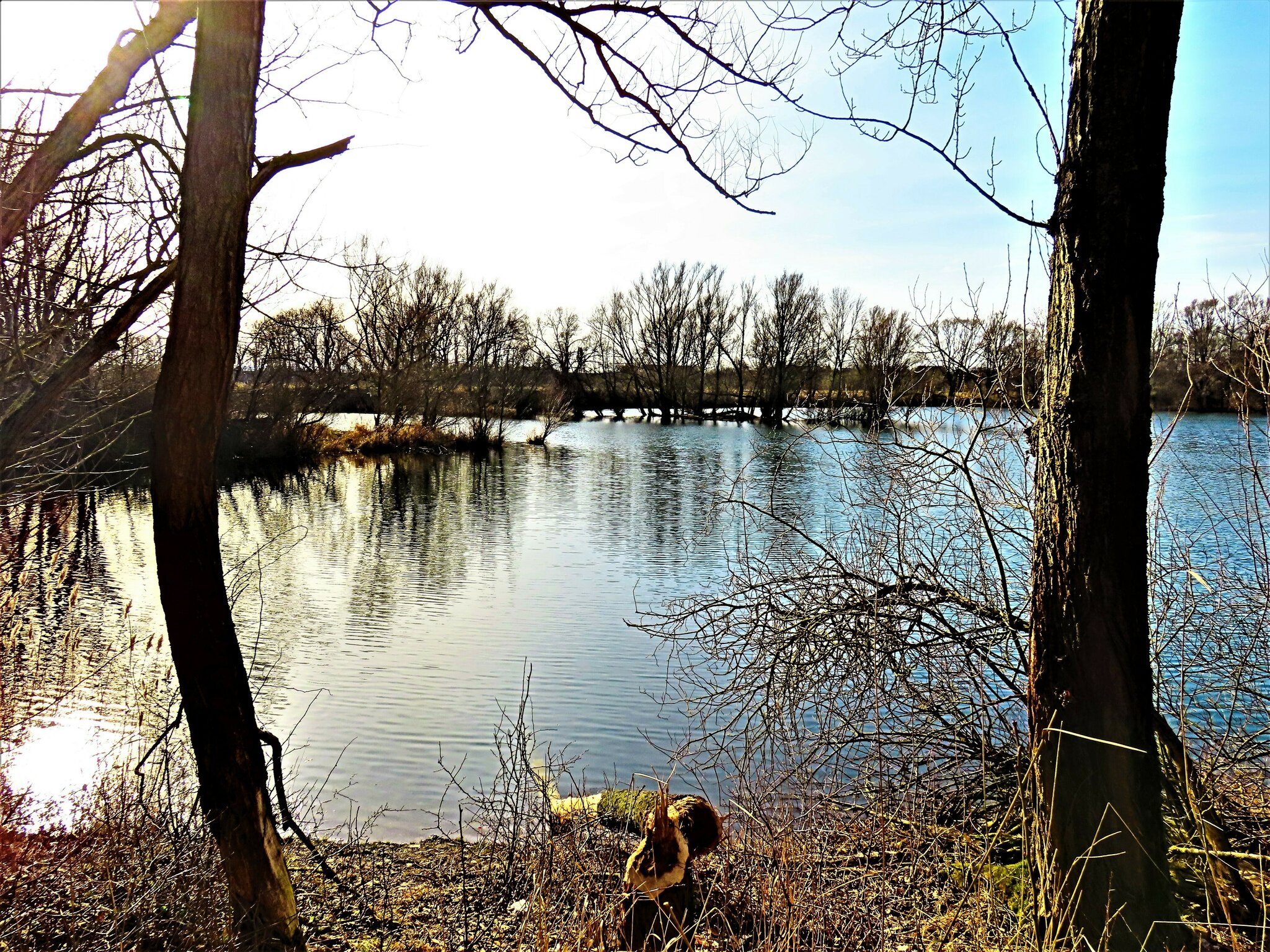 Angler Teich an den Koldinger Seen