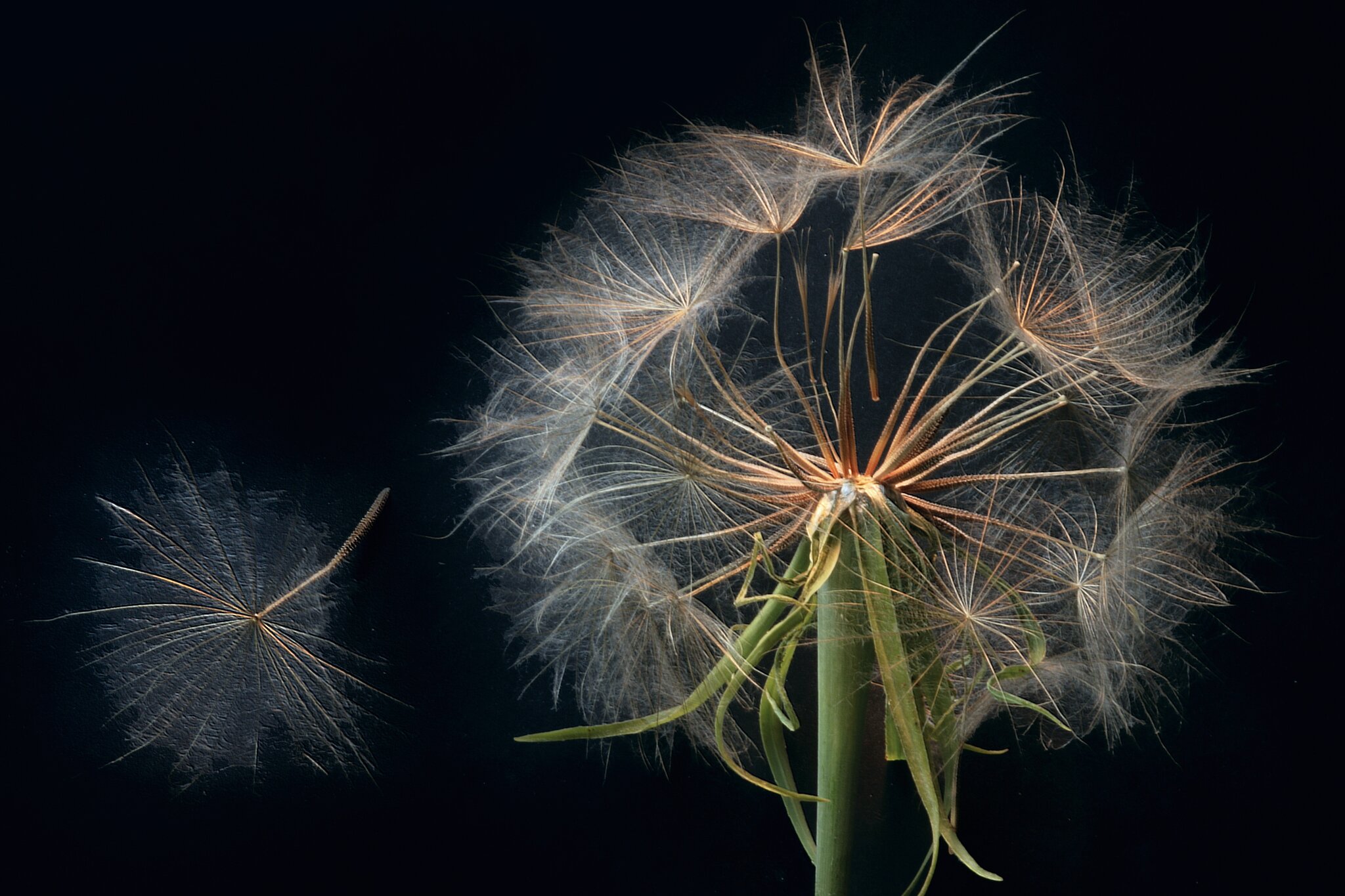 "Glaube an das, was noch nicht ist, damit es werden kann." - Autor