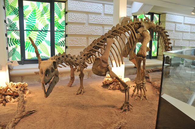 Dino-Skelett in der Sammlung des Niedersächsischen Landesmuseums in Hannover