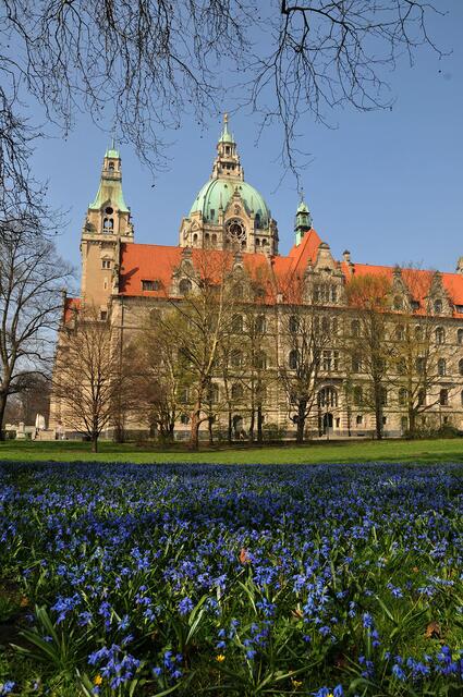 Das Neue Rathaus in Hannover im Frühling