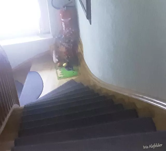 Kriminelle Treppe über 2 Stockwerke zu unserer FEWO hoch. Erschwerend war der Teppichbelag der einzelnen Treppen, man blieb daran ständig hängen. Die Treppe herunter war extrem schlimm für mich, da auch das Treppengeländer noch sehr niedrig war. | Foto: Iris Alef.