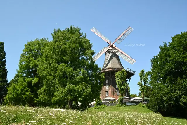Wir sind von der 1833 erbauten Holländermühle in Bremen so begeistert, dass wir sie diesen Sommer gleich noch einmal besucht haben. (Foto: Katja Woidtke)

Zu ihren Füßen breitet sich nun eine Wildblumenwiese aus, und zwischen den Bäumen thront die Mühle erhaben auf dem Wall. Wenn ihr euch nach einer Tour durch die schöne Hansestadt stärken möchtet, könnt ihr im Restaurant in der Mühle einkehren und dort nicht nur die wunderbare Atmosphäre genießen. (Ungefragte und unbezahlte Werbung)

Mehr zur Mühle findet ihr über den Link im Kommentar. | Foto: Katja Woidtke