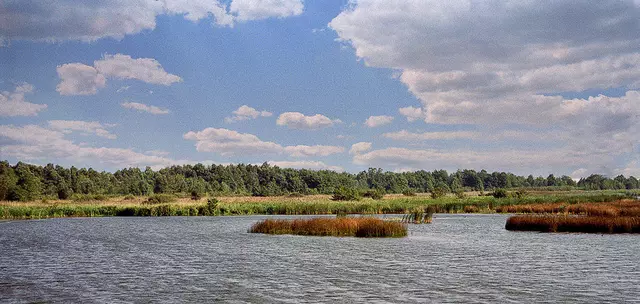 noch eine alte analoge Aufnahme vom Steinhuder Meer