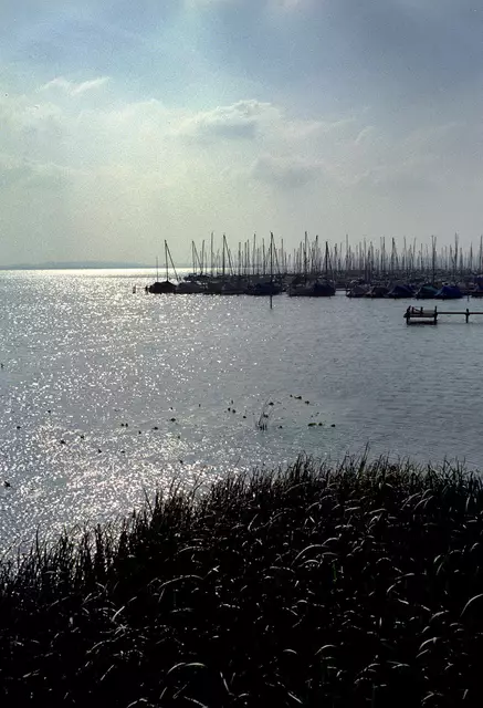 Landschaft am Steinhuder Meer