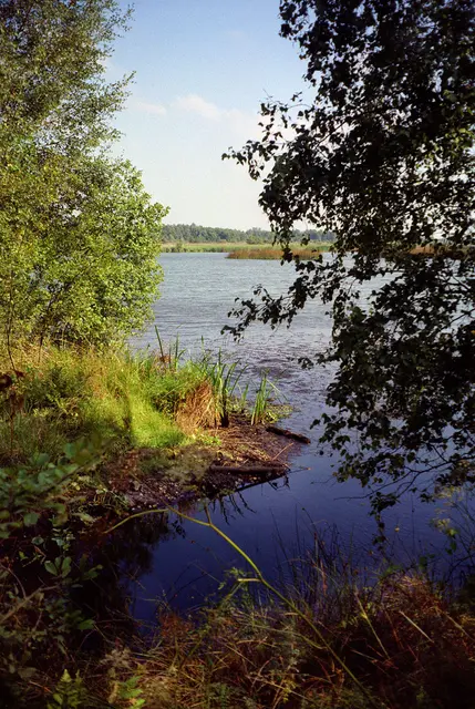 Landschaft am Steinhuder Meer