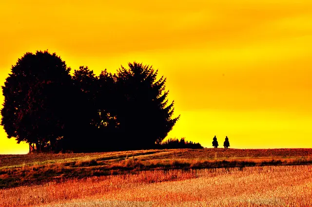 Landschaft bei Wittenburg - am PC bearbeitet