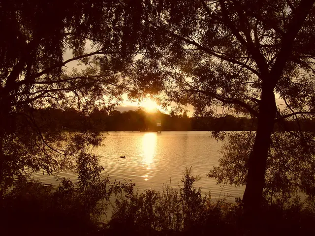 Abenstimmung am Südufer des Maschsees