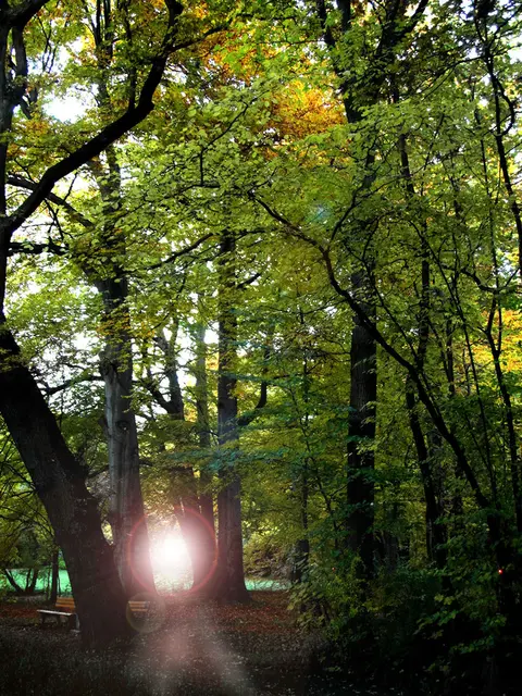 In einer Grünanlage zwischen Maschsee und Hildesheimer Straße