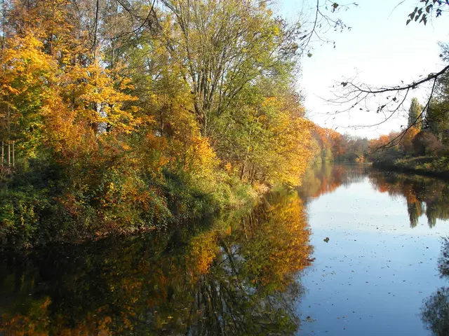 An der Leine hinter dem Maschsee