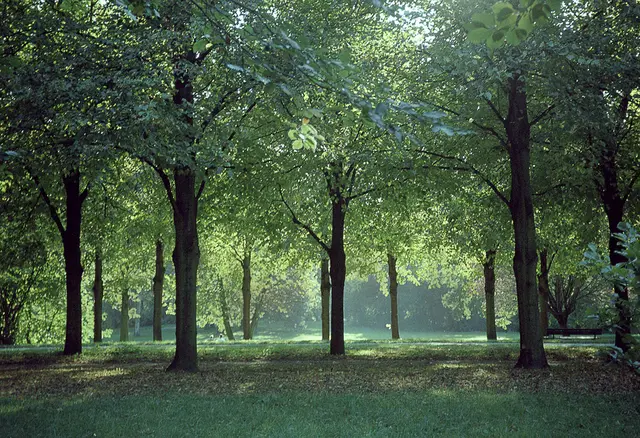 Der Georgengarten gehört zu den Herrenhäuser Gärten