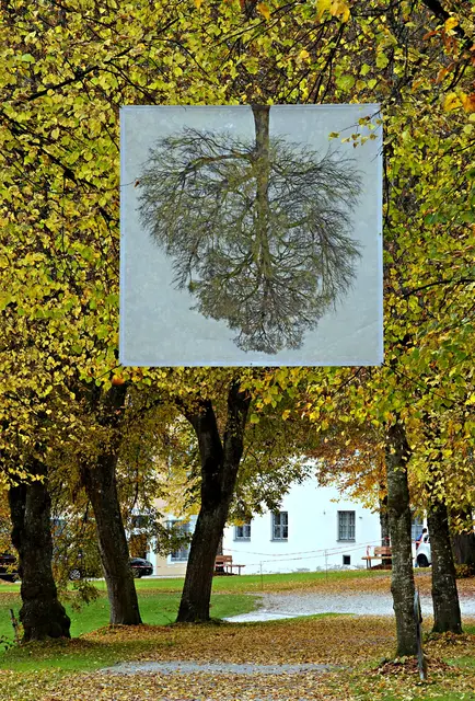Die installierte Fotografie gehört zu Ausstellung "Illusion" im Kunstforum Oberschönenfeld
